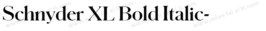Schnyder XL Bold Italic字体转换